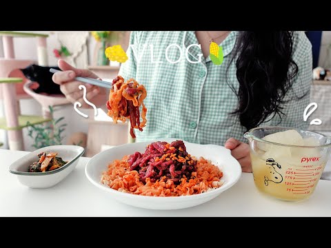 SUB) 여름 도시락 루틴🍱 월남쌈·당근라페 샌드위치 만들기🥕 육회 칼빔면과 체다치즈 스콘 해먹는 자취일상 | 망고빙수, 초당옥수수솥밥, 열무김치 김장, 부대찌개, 차슈라면