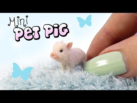 How To Mini Pet Pig Tutorial // DIY Doll Miniature Pig
