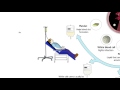 Blood Transfusion Knowledge Assessment