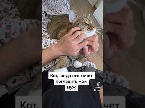 Кот Ральф выбрал себе хозяина