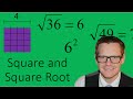Exploring Squares and Square Roots in Mathematics