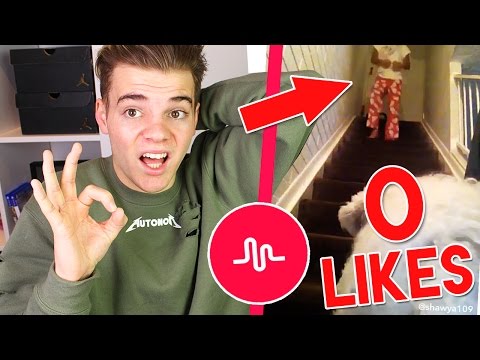 Musical.lys mit 0 LIKES! 😳😂