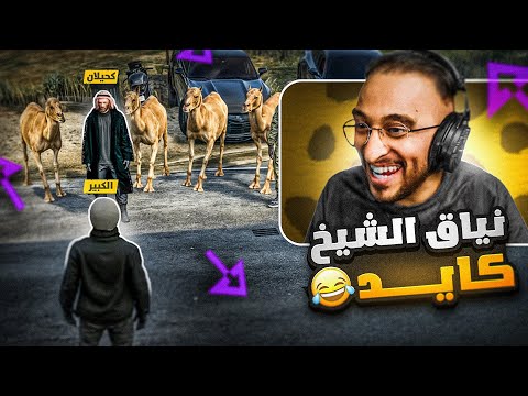 الكبير ونياق الشيخ كايد 😂🔥! ( اضحك مع مفرح ) #1