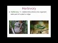 Biodiversity and Ecosystem Interactions