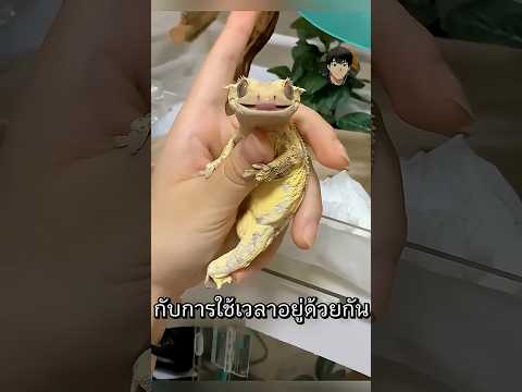 เมื่อไข่แตกแต่สิ่งที่ออกมากลับน่ารักเกินคาด #shorts #สัตว์โลกน่ารัก  #animals