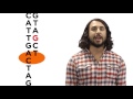 Exploring DNA Damage and Repair Mechanisms