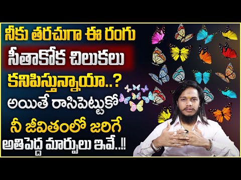 Vibrant Vamsi :The Message From The Universe When You See A Butterfly | Law Of Attraction #money