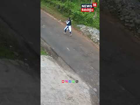 Dog Attacks | പാഞ്ഞടുത്ത് തെരുവുനായ കൂട്ടം സ്കൂൾ ബാഗ് കൊണ്ട് നേരിട്ട് വിദ്യാർത്ഥിനി | N18S #shorts
