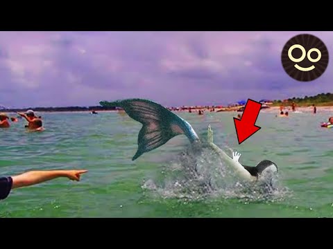 8 SIRENAS Reales Captadas en Cámara y VISTAS en la Vida REAL