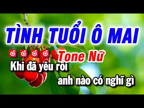 Karaoke Tình Tuổi Ô Mai Nhạc Sống Tone Nữ | Beat Bảo Hưng