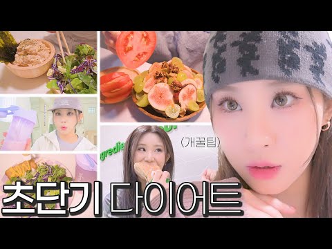 룩북D-2🔥다이어트 고인물의 관리 식단•운동 브이로그 | 존맛도리 쉐이크 추천 | 단기 다이어트는 이렇게만 하세요⭕️| 꿀팁•레시피 탈탈 털기🌟