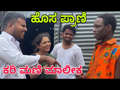 ಆಫ್ರಿಕಾ ಟು ಉತ್ತರ ಕರ್ನಾಟಕ #uttarkarnataka #shivaputracomedy #shivaputrayasharadha #shivaputra