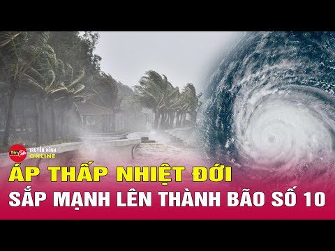 Tin tức mới nhất chiều 23/12: Áp thấp nhiệt đới trên Biển Đông đã mạnh lên thành bão số 10 | Tin24h