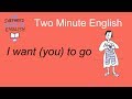 Using 'Would Like' and Related Verbs
