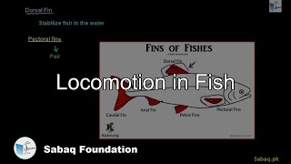Locomotion in Fish