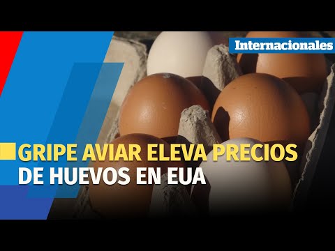 Gripe aviar eleva precios de huevos en EUA