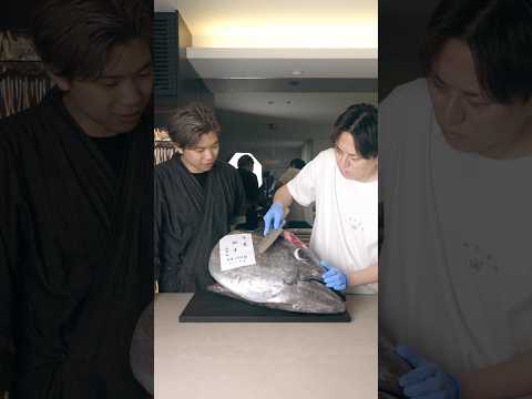 I can't cut the Pacific bluefin tuna, so I sharpen the knife.本マグロの頬が切れなかったので包丁を研ぐ @tsuripichi_tv