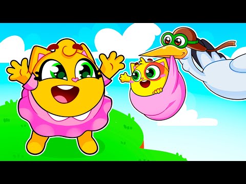 How Was Baby Born Song + Bottle Feeding + More Kids Song & Nursery Rhymes