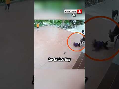 Cậu bé cứu bà nội khi con bò...#shorts