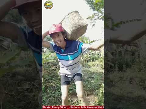 🔴 LIVE SEASON, FUNNY Shorts, Funny Video, Hilarious, fails #memes tiktok