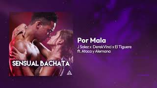 Por Mala - J Salez X DerekVinci X El Tiguere Sensual #Bachata Album (Visualizer)