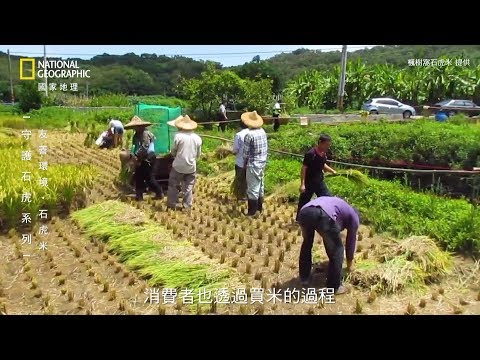 守護石虎系列––石虎米《國家地理》雜誌 - YouTube