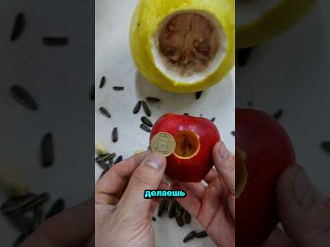 Кто угодно будет поражён, увидев трюк папы! ❤️😱