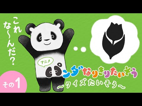 🐼ふわもち♡パンダさんの　クイズ たいそう♪🐼　おまんじゅう💛ぐ～ん♬ぐ～ん♬　#shorts    #手遊びうた #panda