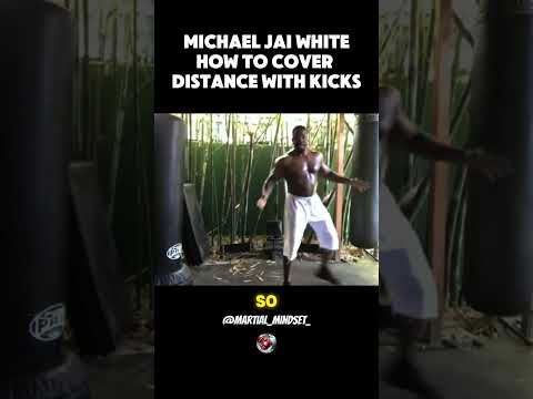 How to cover distance with Kicks lesson by Michael Jai White. #martialarts