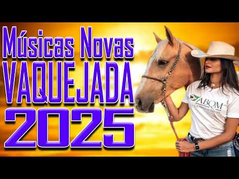 O MELHOR DA VAQUEJA CD 2025