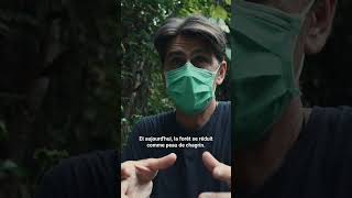 La sombre vérité des singes d’Instagram...