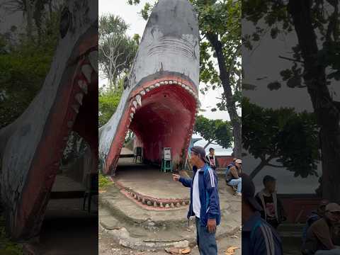 Masuk ikan hiu raksasa