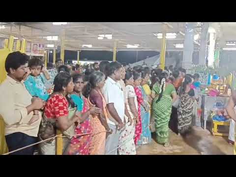 அமாவாசை பூஜை | சித்தூர் ஸ்ரீ குர்ரப்பா அங்காளபரமேஸ்வரி கோவில் | Chittoor Ankalipuram Angalamman
