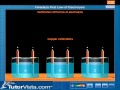 Electrolysis and Faraday's Laws
