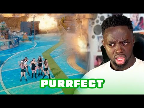 VVS 븨븨에스 'Purrfect' MV | REACTION