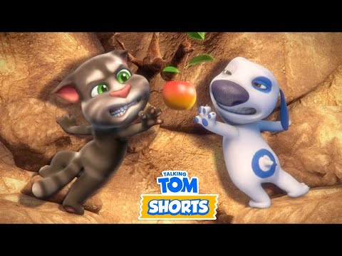 Talking Tom 🐱 La manzana de la discordia 💫 Episodio 130 🔥 Super Toons TV - Dibujos Animados