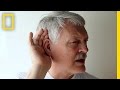 Hearing Ability Across Age Groups