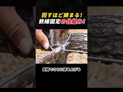 回すほど締まる! 鉄線固定の仕組み! #DIY #結束技術 #鉄線 #工具テクニック #ライフハック