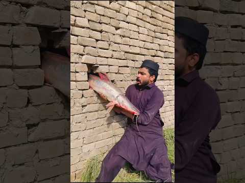 Shatir machli wala😂