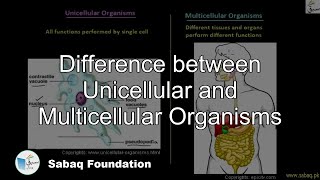 Difference between Unicellular and Multicellular Organisms