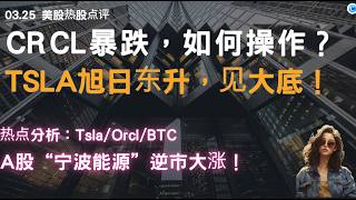 Crcl暴跌如何操作？tsla旭日东升，见大底！热点分析：Tsla/Orcl/BTC。A股“宁波能源”逆市大涨！#tesla #大盘分析 #btc #crcl