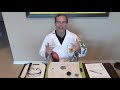 Distinguishing Metals, Metalloids, and Nonmetals by Physical Properties
