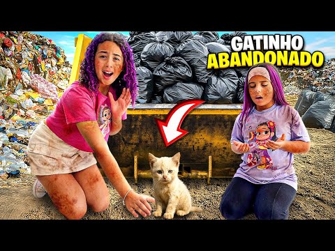 ENCONTREI UM GATINHO ABANDONADO NO LIXO - devo adotar ?