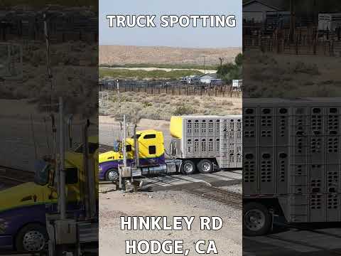 TRUCK SPOTTING #01361 / KENWORTH #automobile #semitrailer #trucking
