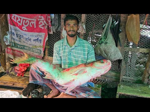 Fish Eggs Collections | Big Silver Carp Fish Cutting & Chopping By Expert Fish Cutter