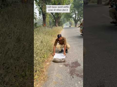 Respect the voiceless #shorts #youtubeshorts #ytshorts