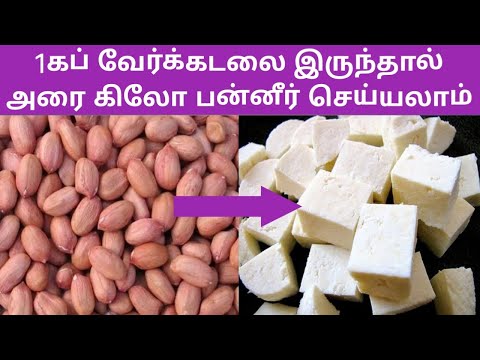 1கப் வேர்க்கடலை இருந்தால் அரை கிலோ பன்னீர் செய்யலாம் ஈசியாக  #healthy #panner #healthysnack #tasty