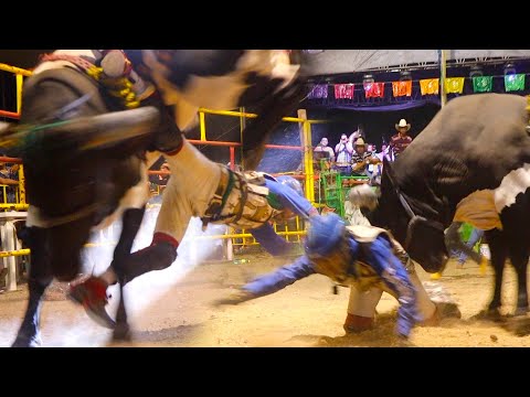 ¡¡ESTOS TOROS TRAEN BUENA GENETICA FFF!! Rancho San Agustin En Pueblo Nuevo Morelos 2025