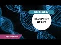 Evolutionary Impacts of Environmental Changes