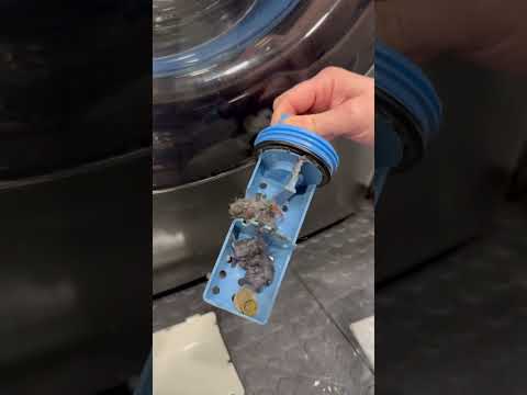 Cleaning motivation ?? #asmr #satisfying #cleaning #cleanwithme #cleaningsounds #deepcleaning